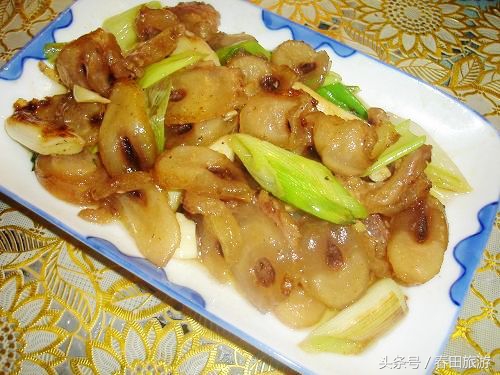 艳阳农庄休闲农业,南京金牛湖艳阳农庄度假村酒店