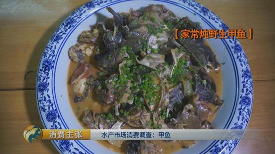 水产挑选窍门,怎么选品质高的甲鱼