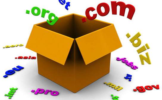 新顶级域名和专业领域域名,世界顶级域名和中国顶级域名