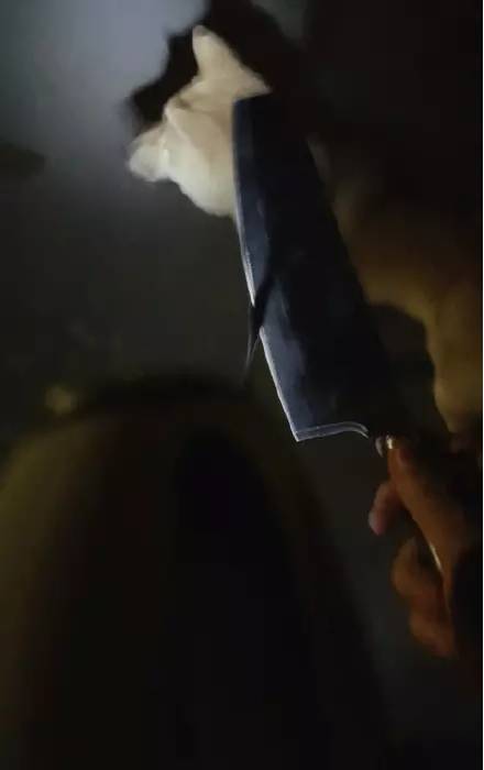 如何正确保护狗不被抓,抓狗的好方法