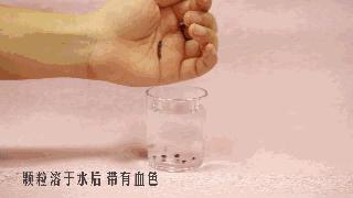 怎样给宠物驱虫以及驱虫的好处,宠物医生驱虫