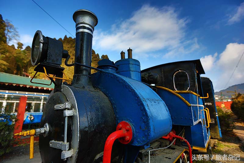 印度大吉岭红茶有几个品牌,印度大吉岭红茶品种