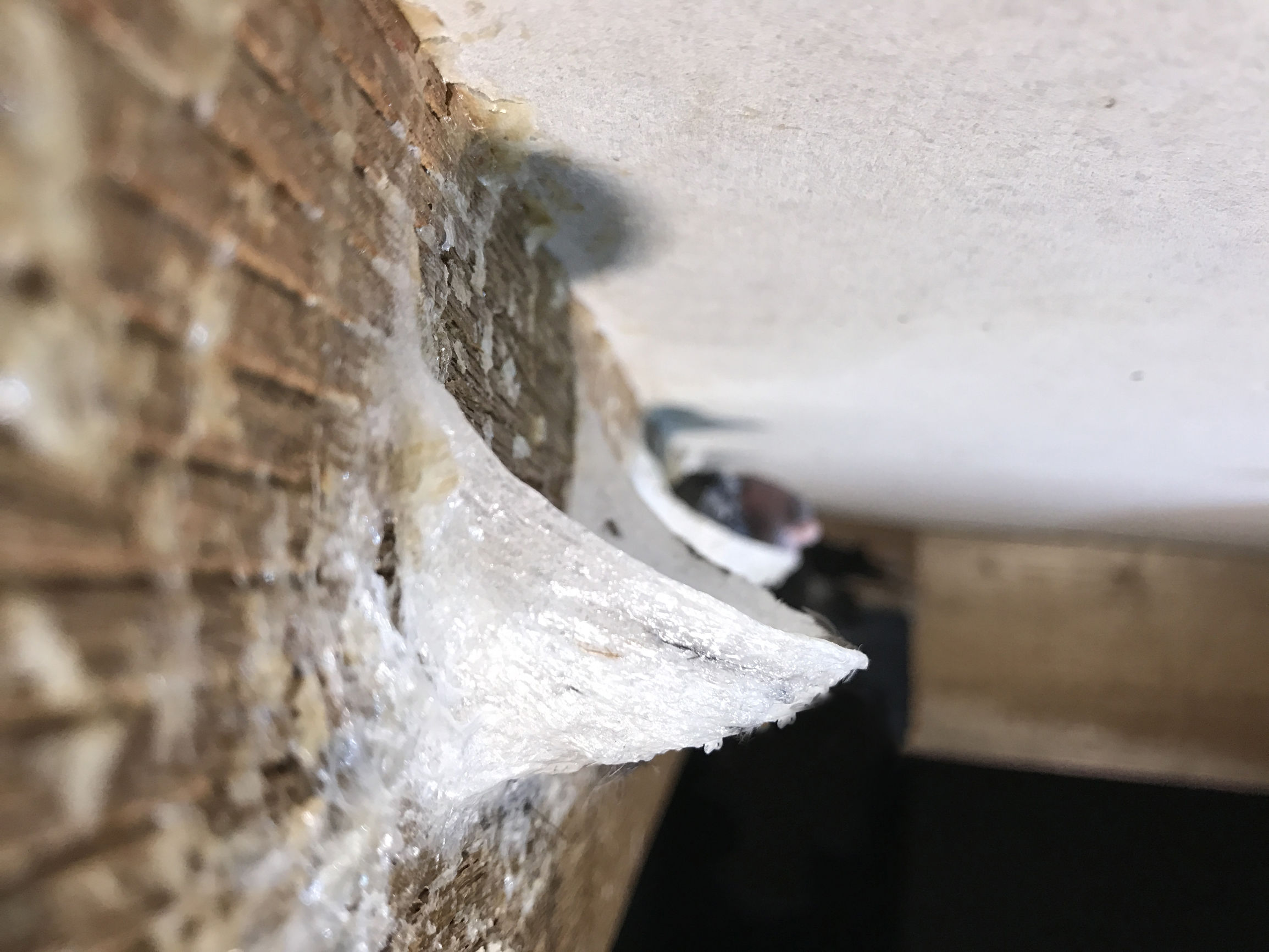 燕窝市场大揭秘,燕窝市场有多大