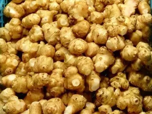 模样似姜、花像向日葵，小小身板显大价值！