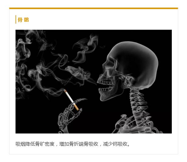 世界无烟日丨当你点燃香烟那时起，你便与魔鬼签写了契约