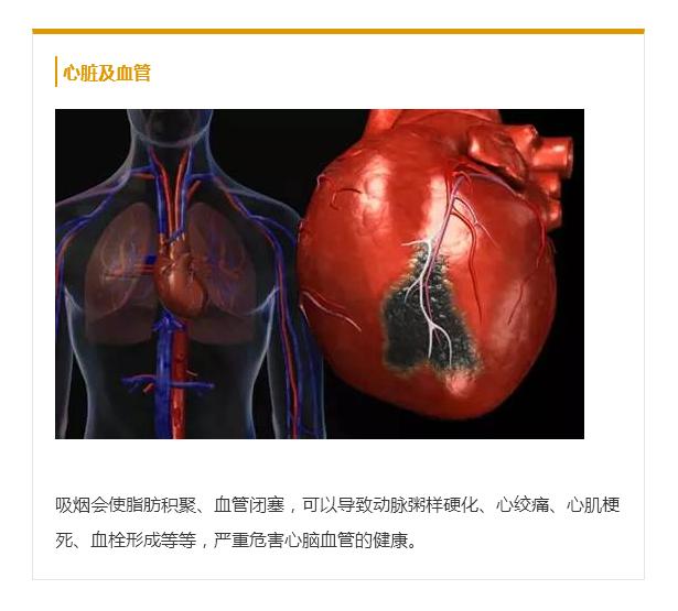 世界无烟日丨当你点燃香烟那时起，你便与魔鬼签写了契约