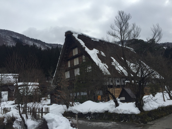 日本的冬天依旧色彩绚烂,冬季日本的冰雪阳光