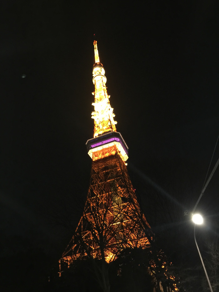 日本的冬天依旧色彩绚烂,冬季日本的冰雪阳光