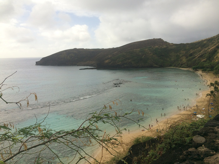 去过美国的真实感受,没去过美国不知道是好还是坏