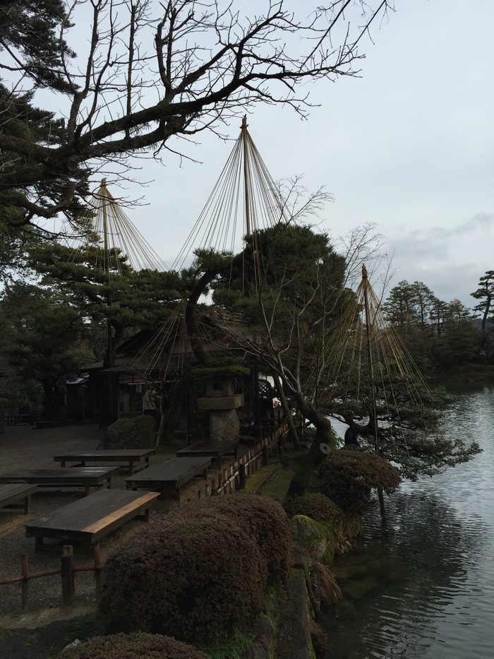 日本的冬天依旧色彩绚烂,冬季日本的冰雪阳光