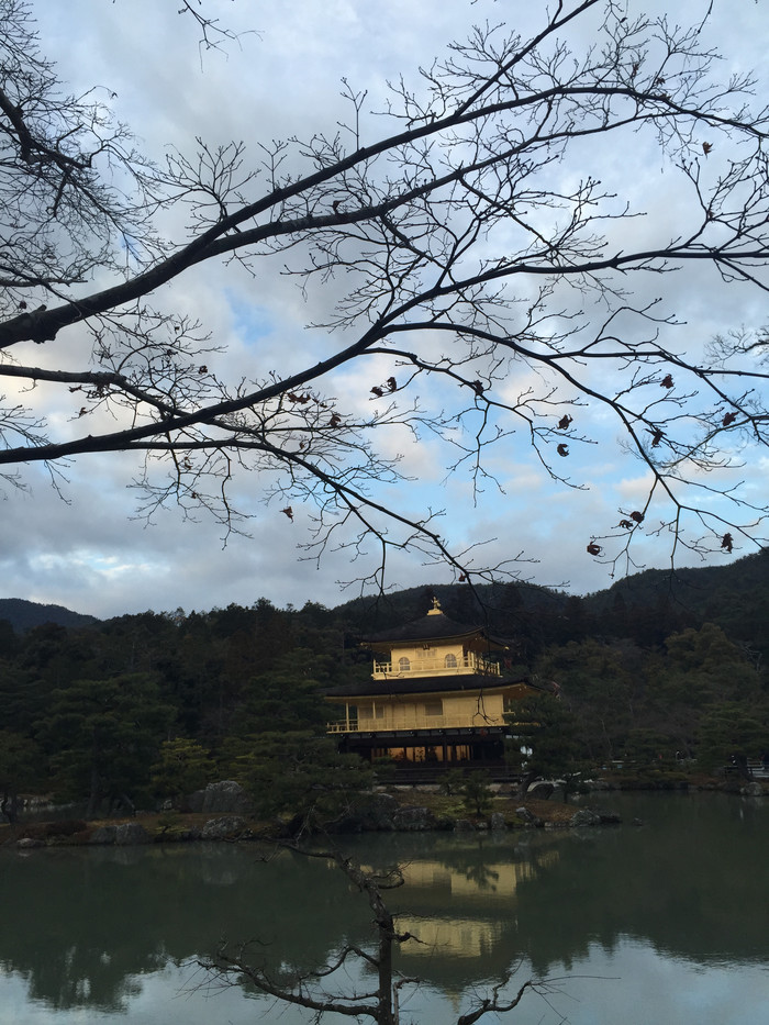 日本的冬天依旧色彩绚烂,冬季日本的冰雪阳光