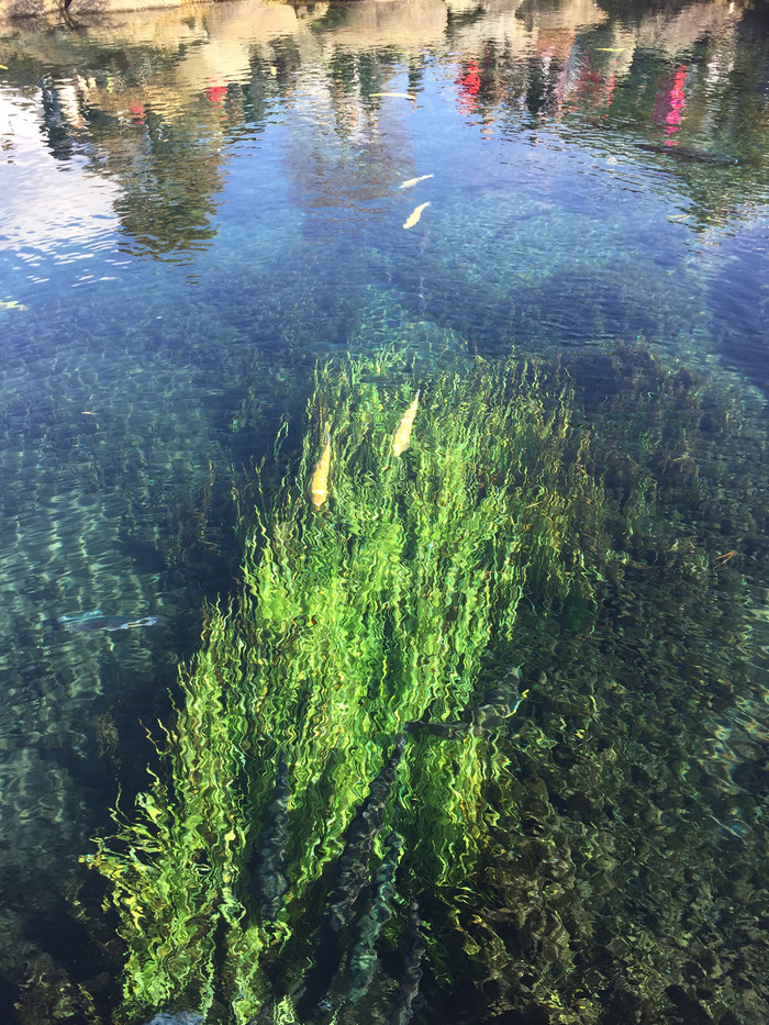 日本的冬天依旧色彩绚烂,冬季日本的冰雪阳光