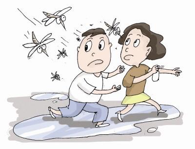 容易招惹蚊子的体质怎么预防,被蚊子叮很快能消除是什么体质