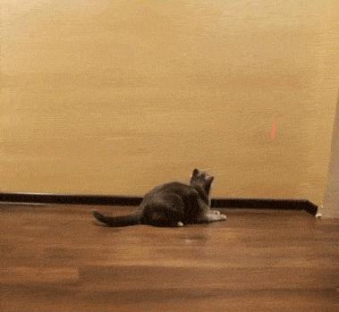 你身边有这么贱的人吗,你身边有没有很贱的人