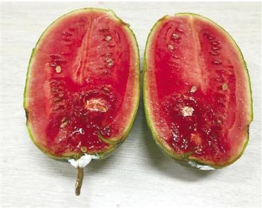 吃了西瓜腹痛拉稀是怎么回事,吃西瓜后拉肚子怎么办