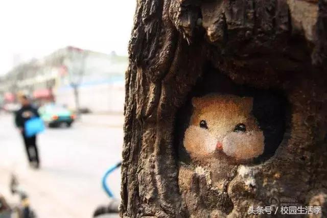 大连理工丑闻,大连理工大连海事东北财经