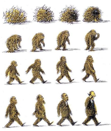 如何开启人类大脑智慧,如何提高人类大脑能力