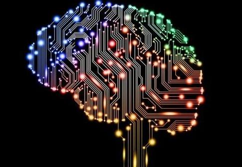 如何开启人类大脑智慧,如何提高人类大脑能力