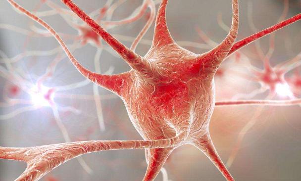 如何开启人类大脑智慧,如何提高人类大脑能力