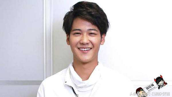 洼田正孝日剧全集,洼田正孝双男主日剧