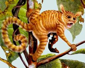 淹没前的垣曲县古城镇,山西垣曲被黄河淹没的古城