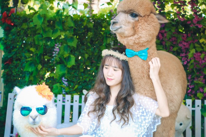 北纬18度三亚你不愿意错过的风景