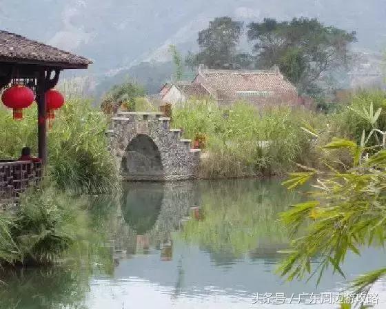 广东普罗旺斯花海,普罗旺斯的薰衣草紫色花海