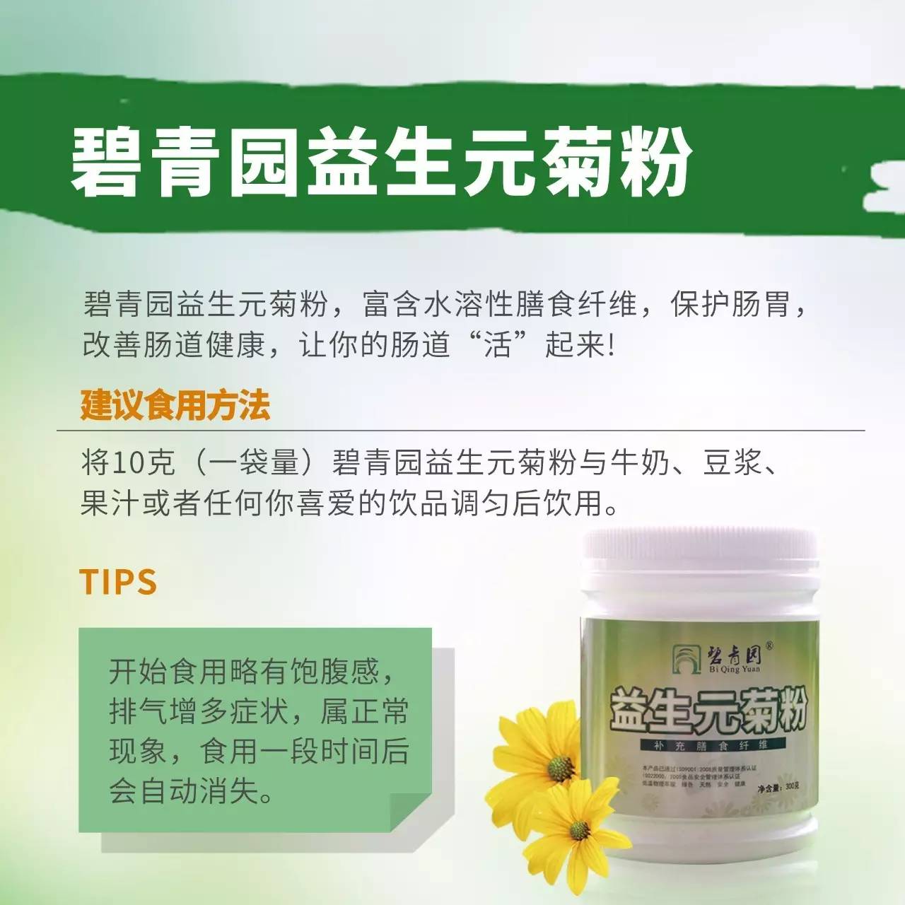 模样似姜、花像向日葵，小小身板显大价值！