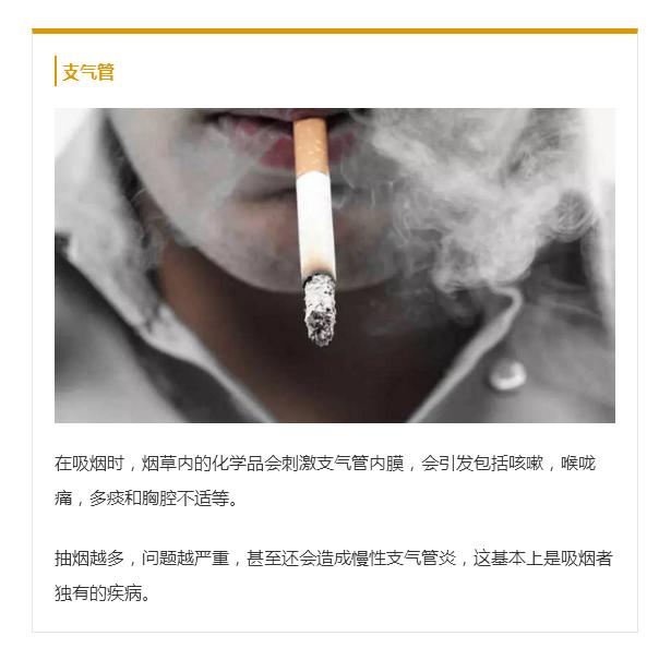 世界无烟日丨当你点燃香烟那时起，你便与魔鬼签写了契约