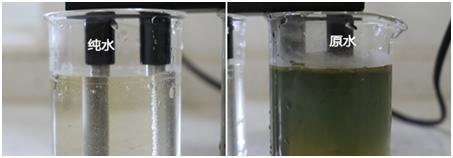 沁园净水机真的能过滤出矿物质水,沁园净水机净热一体海王系列测评