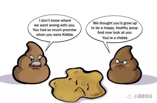 今天我们聊聊狗屎吧!