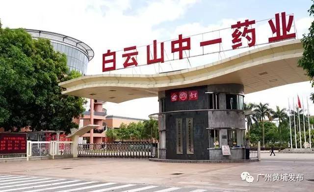 比同仁堂还长七岁！走进白云山中一展厅，探秘岭南中药“活化石”