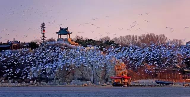 秦皇岛浪漫打卡圣地,秦皇岛浪漫的好地方