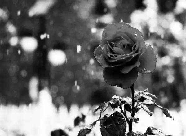 经典广告品牌有哪些,盘点100句经典广告语