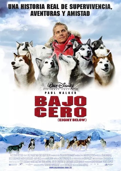 适合孩子看的八部动物电影,小朋友可以看的与动物有关的电影