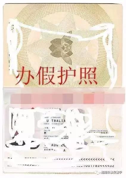 移民局官网能查到签证信息吗,国家移民局系统查签证真假