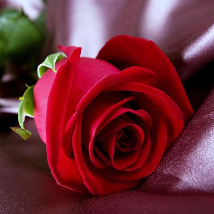 经典广告品牌有哪些,盘点100句经典广告语