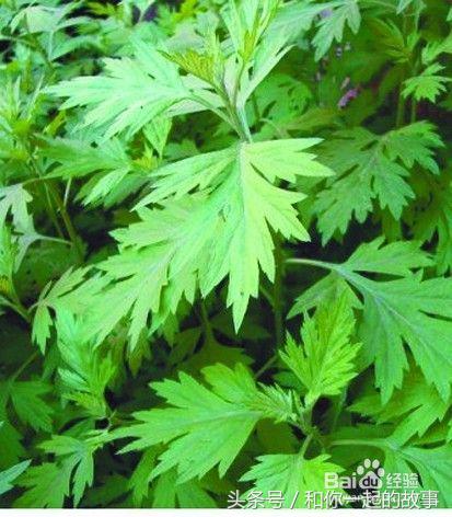 3个超实用的生活小窍门简单方便,生活小窍门实用大全集