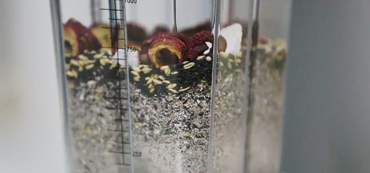 八珍粉禁忌人群,运谷山房八珍粉