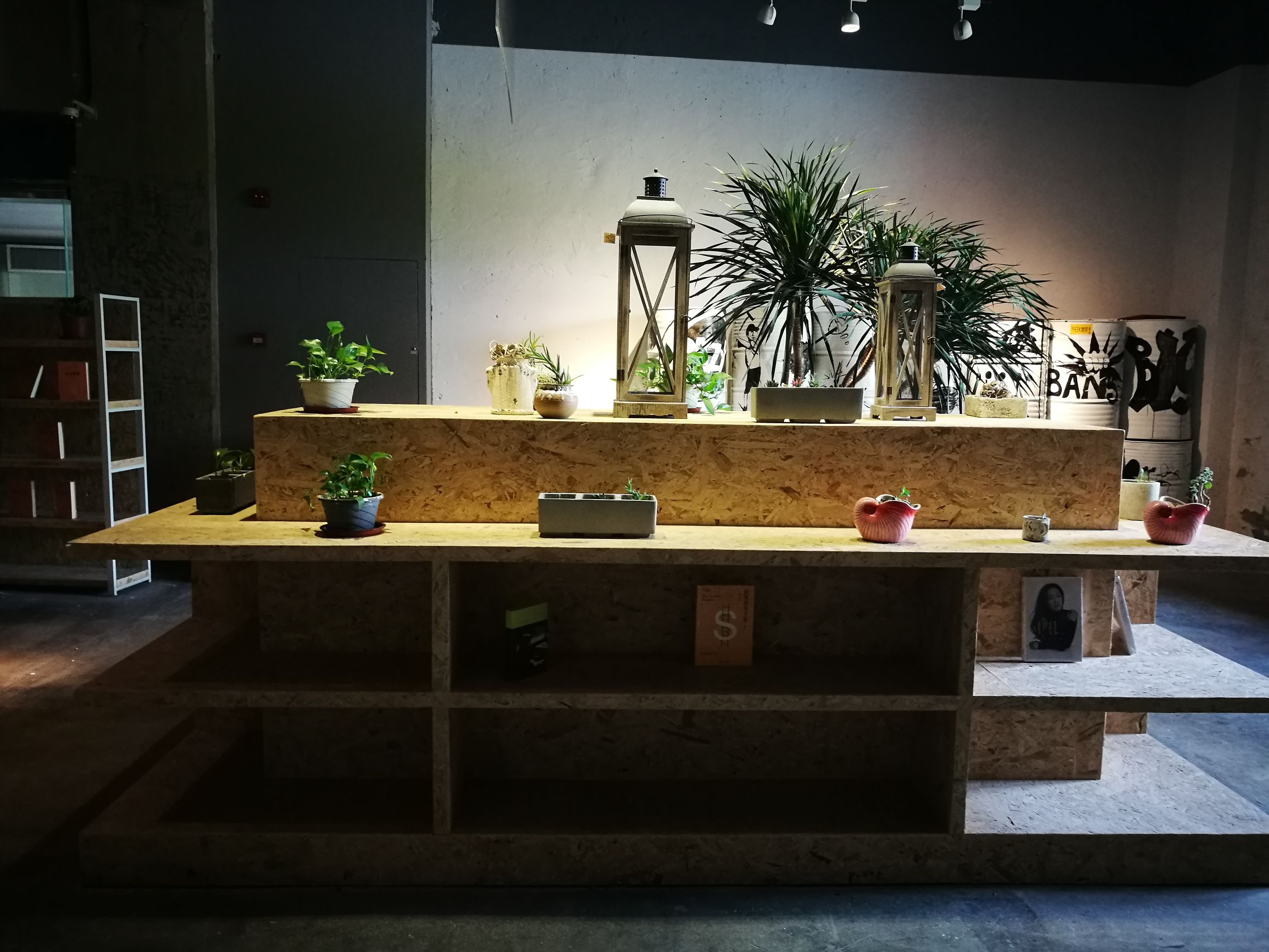 三亚小众书店推荐,三亚湾红树林书店