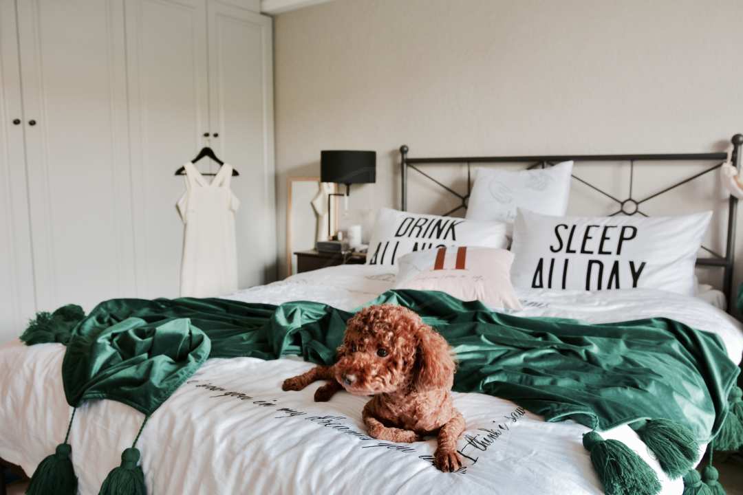 晒晒我家35万建的小别墅,晒晒我家26万现代风房子