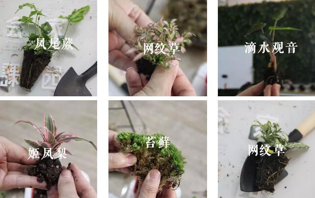 新手花店插花入门教程,插花教程小白入门花店学习