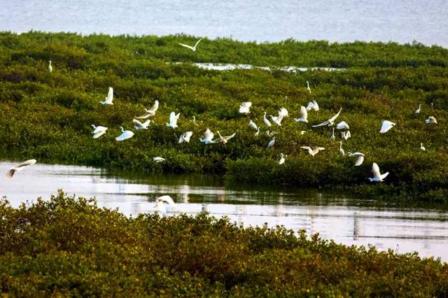 到广西应该玩的地方,广西好看的小众海滩