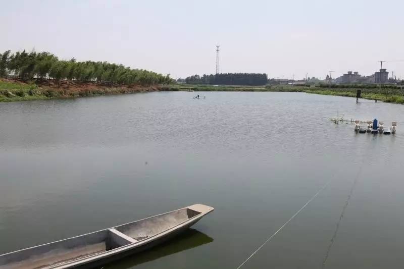 萧山本地菜好吃饭店,萧山十大特色菜谱