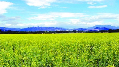 京城10个湿地公园：城区郊区、东西南北都有，总有一个适合您！