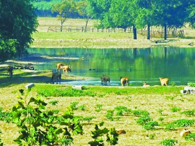 京城10个湿地公园：城区郊区、东西南北都有，总有一个适合您！