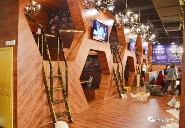 论“在餐厅一边看mao片，一边撸”，是一种什么样的体验？