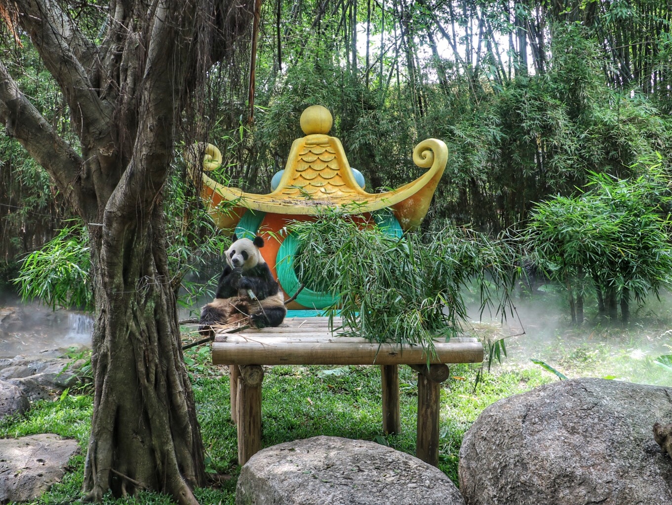 一月广州长隆野生动物园游玩攻略,长隆海洋王国不可错过