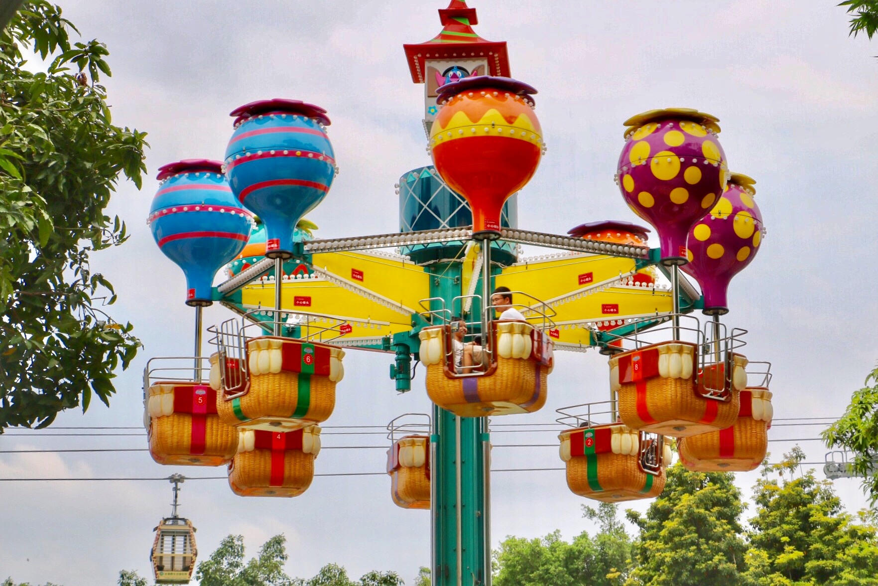 一月广州长隆野生动物园游玩攻略,长隆海洋王国不可错过