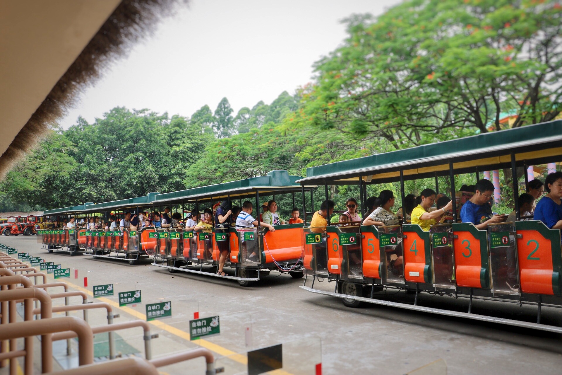 一月广州长隆野生动物园游玩攻略,长隆海洋王国不可错过